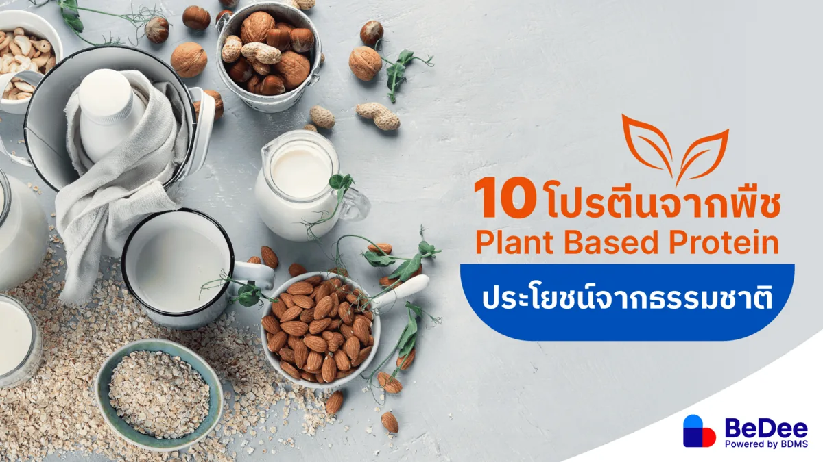 10 โปรตีนจากพืช มีอะไรบ้าง ทางเลือกสำหรับสายสุขภาพ