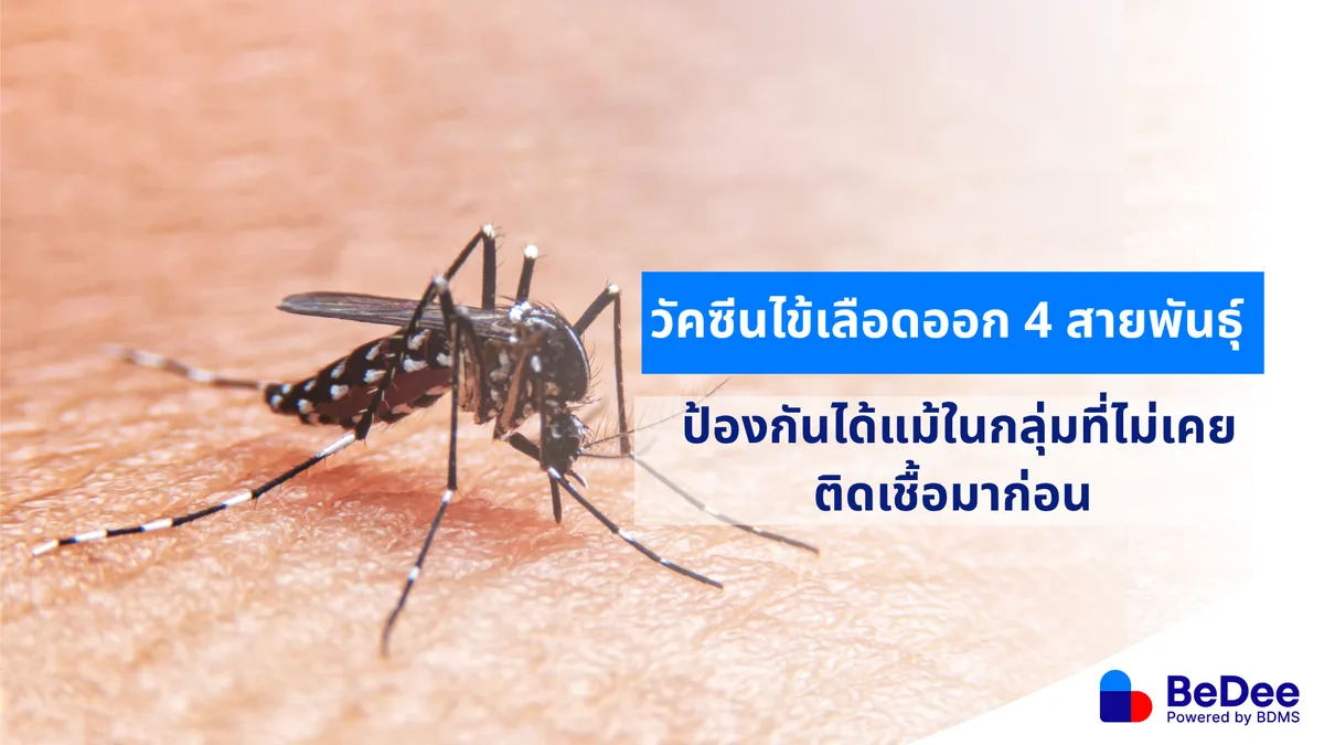 วัคซีนไข้เลือดออกรุ่นใหม่ ป้องกันครอบคลุม เกราะป้องกันหน้าฝนนี้