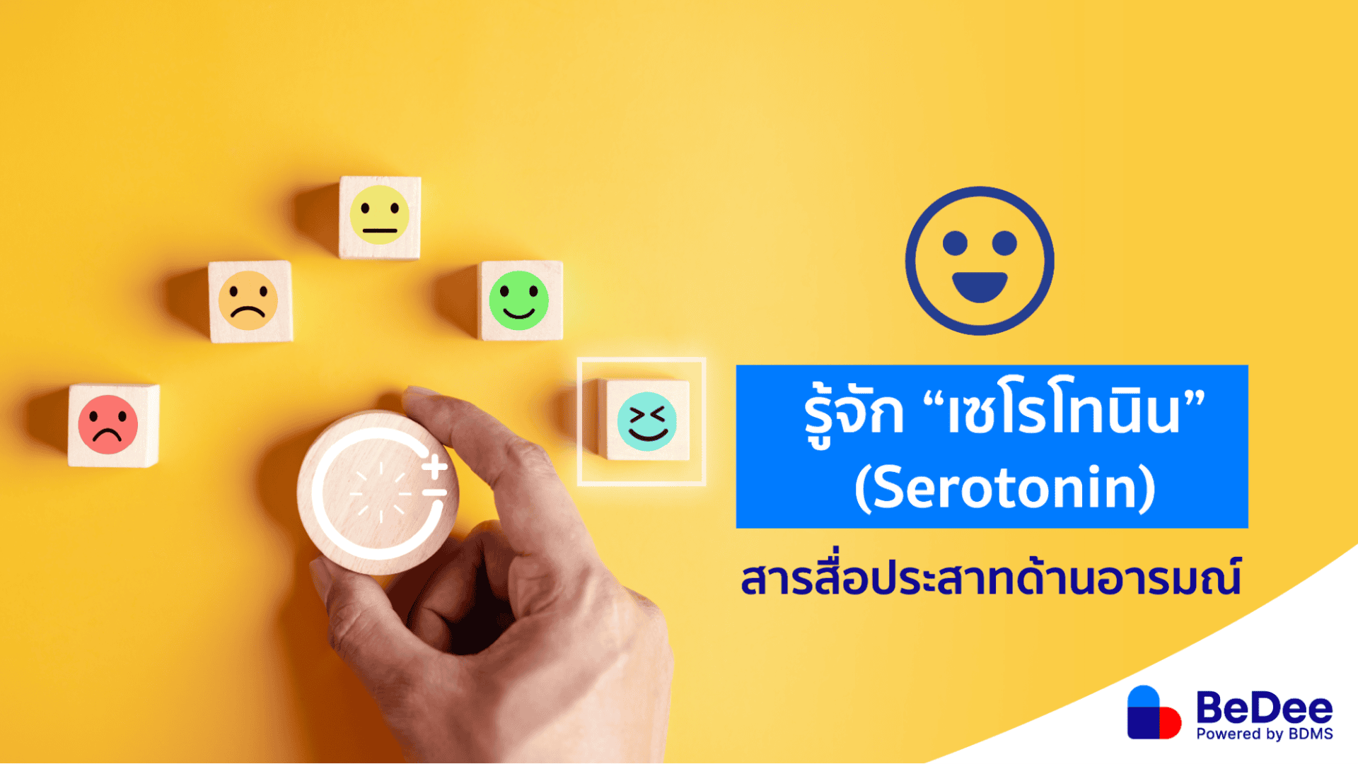 เซโรโทนินสารสื่อประสาทที่เป็นมากกว่าสารแห่งความสุข