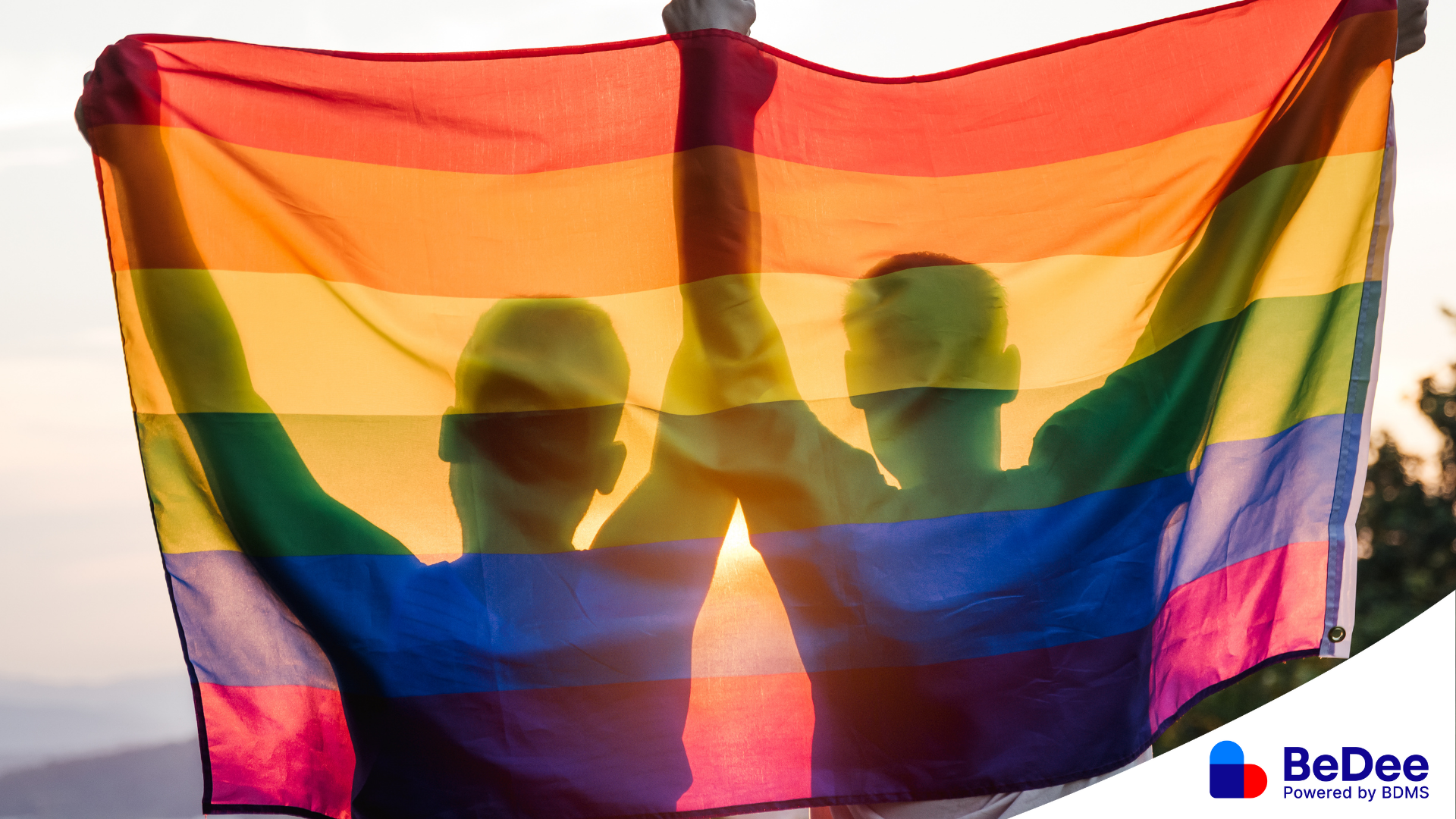 สีธง LGBTQ