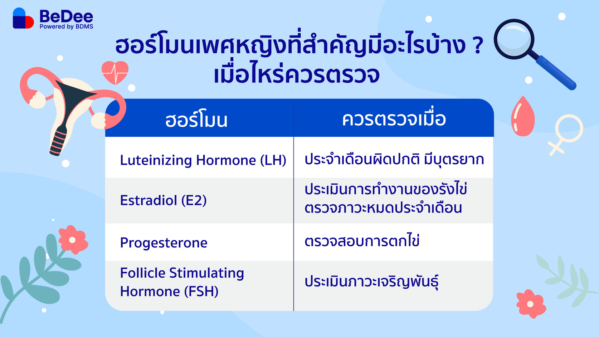 ฮอร์โมนเพศหญิง หน้าที่